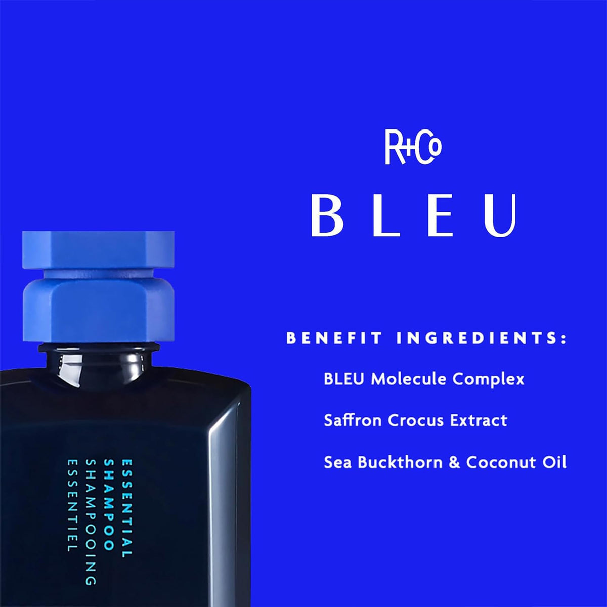 R+Co BLEU in-shower application showing easy detangling benefit