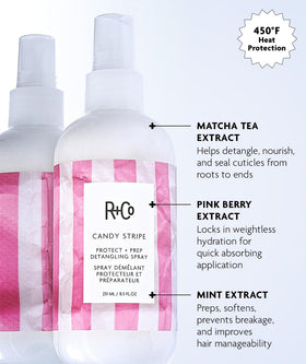 R+Co Candy Stripe spraying mist demonstrating even coverage and easy application