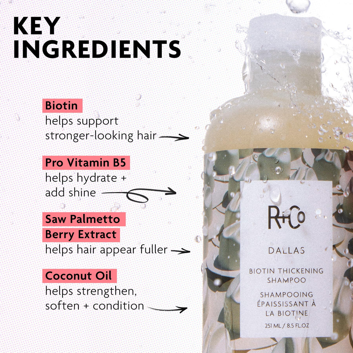 R+Co Dallas close-up of loquat and coconut ingredients for nourishing hydration