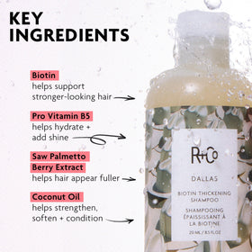 R+Co Dallas close-up of loquat and coconut ingredients for nourishing hydration
