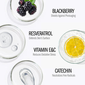 RE:CIPE key ingredients display highlighting antioxidant support