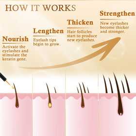 Recuren Plus before and after scale image illustrating fuller lash appearance benefit