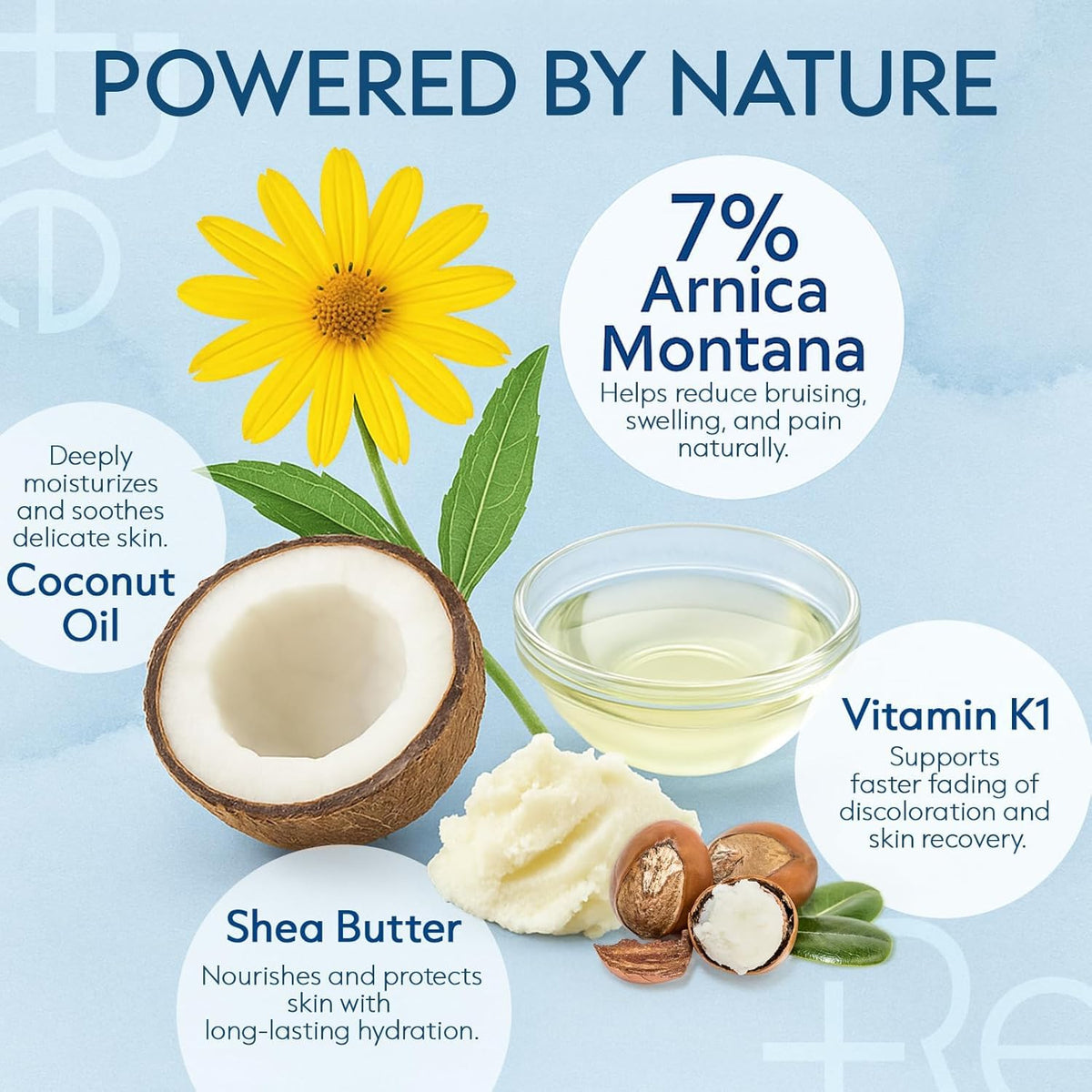 Recuren Plus arnica close-up highlighting natural botanical concentration