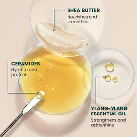 René Furterer shea butter ingredient close-up showing nourishing hydration