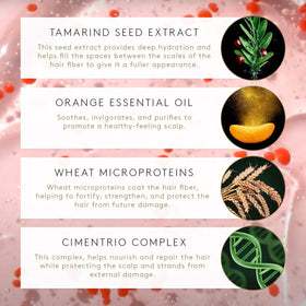 René Furterer tamarind seed extract close-up highlighting replumping benefit
