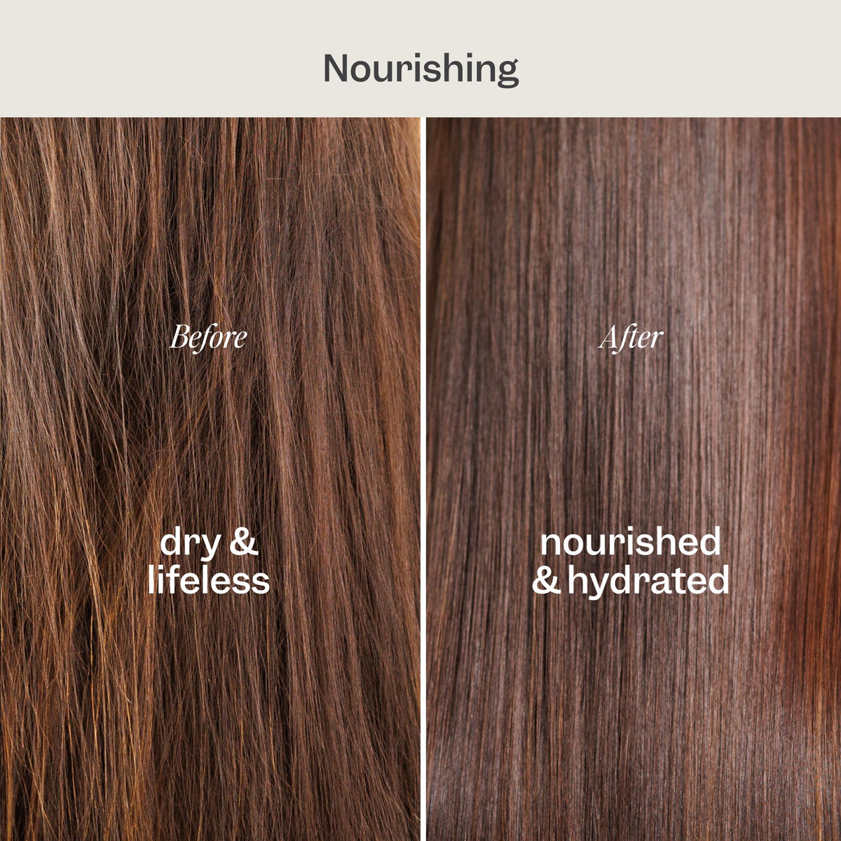 Renpure close-up of coconut oil and vitamin E ingredients highlighting nourishing benefits