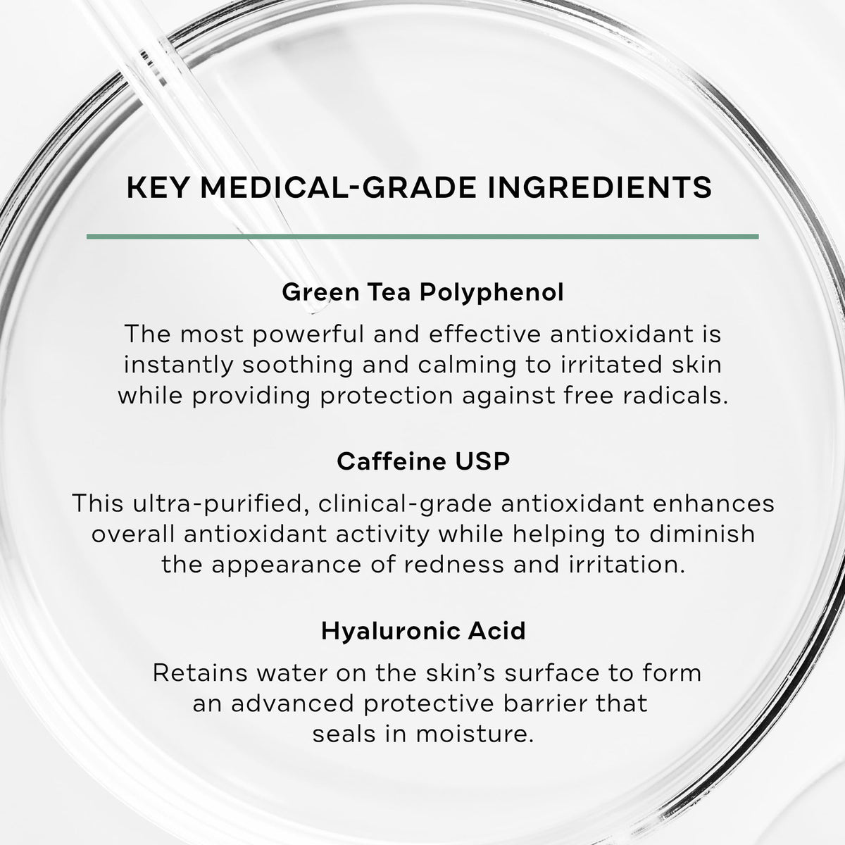 Replenix close-up label highlighting caffeine and green tea polyphenols
