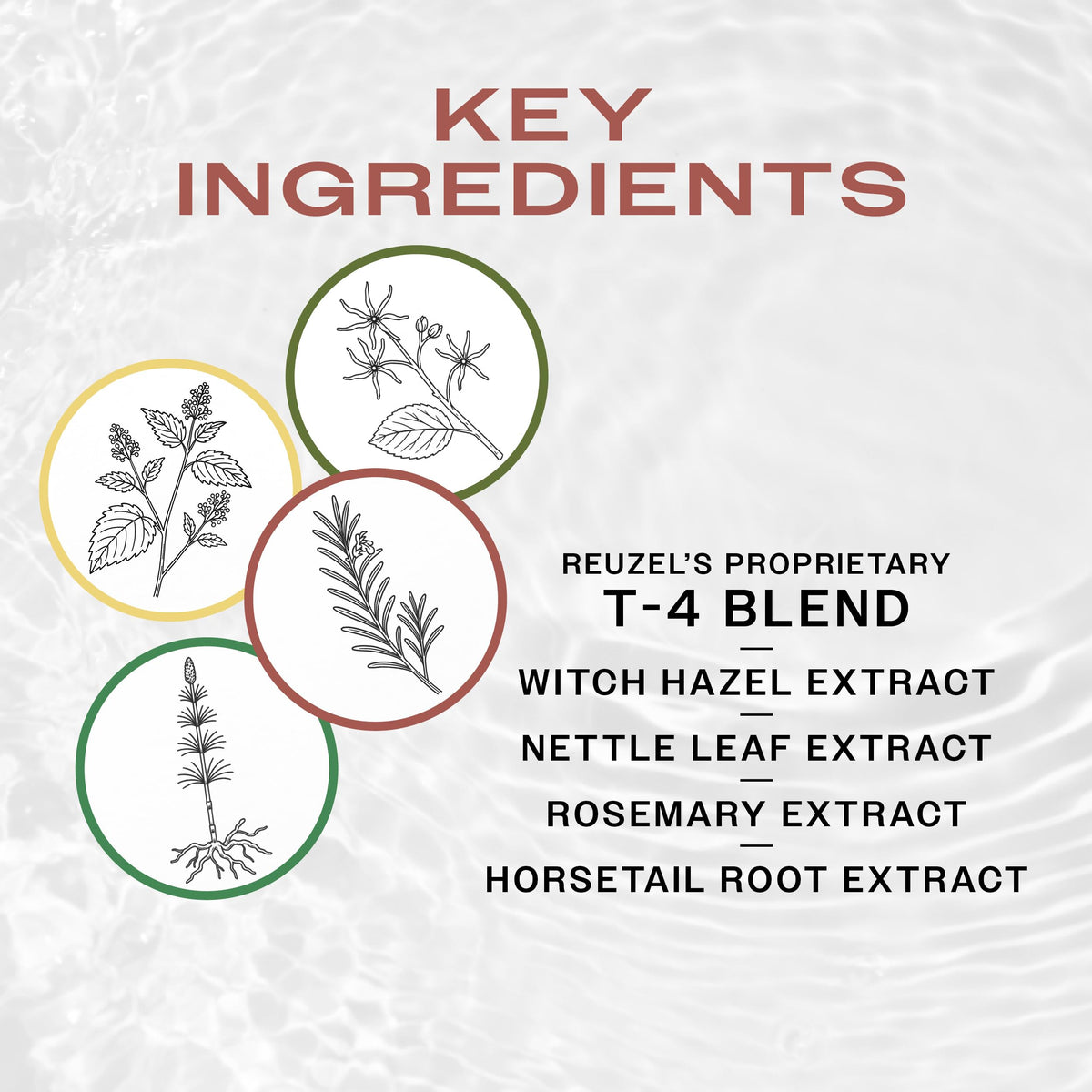 REUZEL witch hazel and nettle botanical ingredients showing scalp-refresh benefit