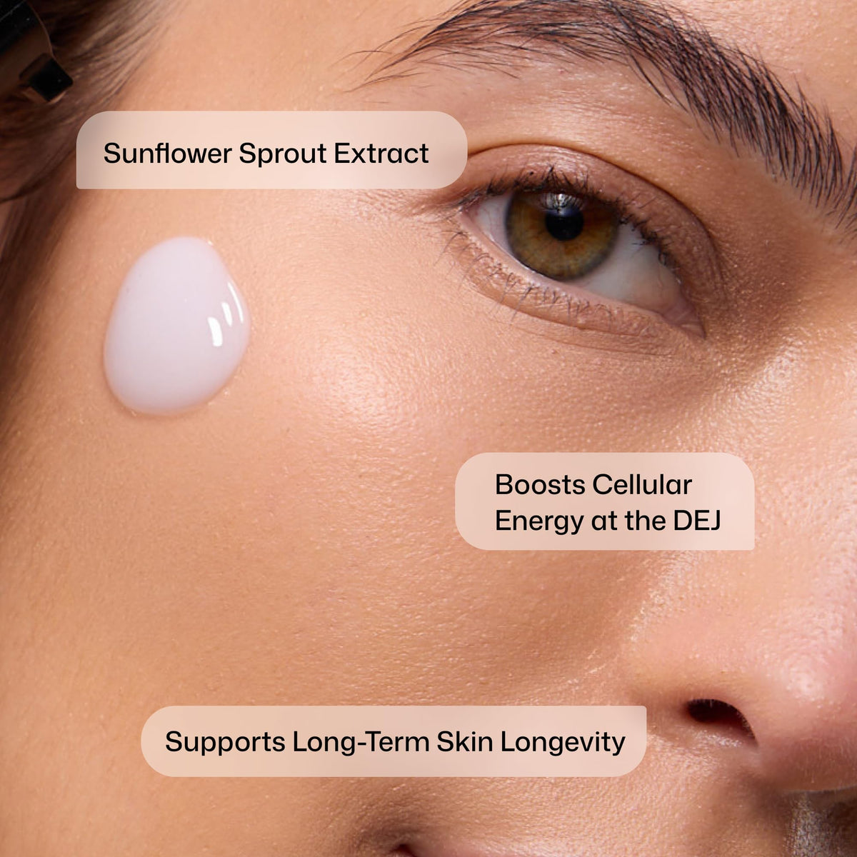 Revision Skincare ingredient label highlighting key actives and barrier support