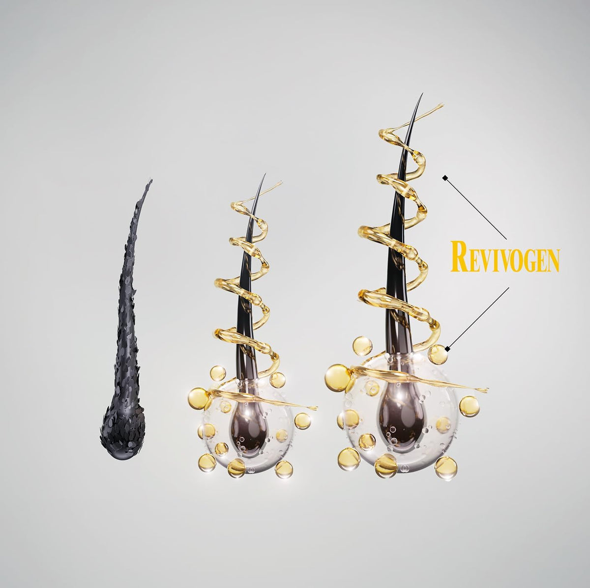 Revivogen bottle close-up of label highlighting dermatologist-formulated benefits