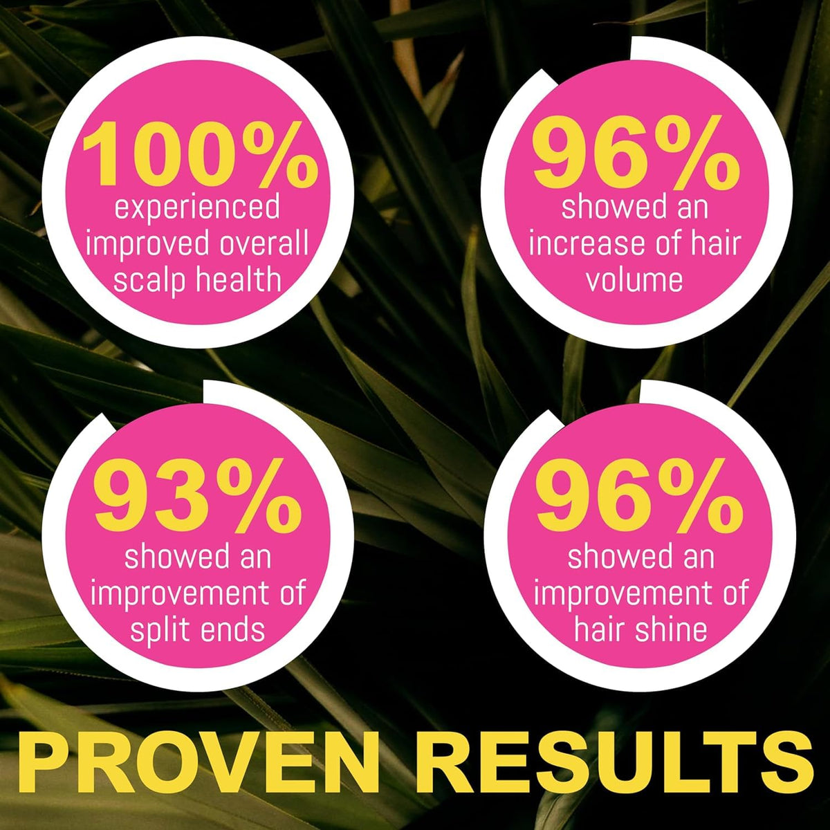 Rida Hair Research Institute before and after hair showing improved thickness appearance