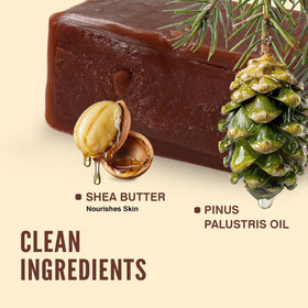 Rinse & Robust pine tar and shea butter ingredients showing nourishing benefit