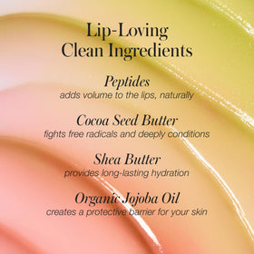 RMS Beauty Chameleon lifestyle flatlay showing product portability and routine