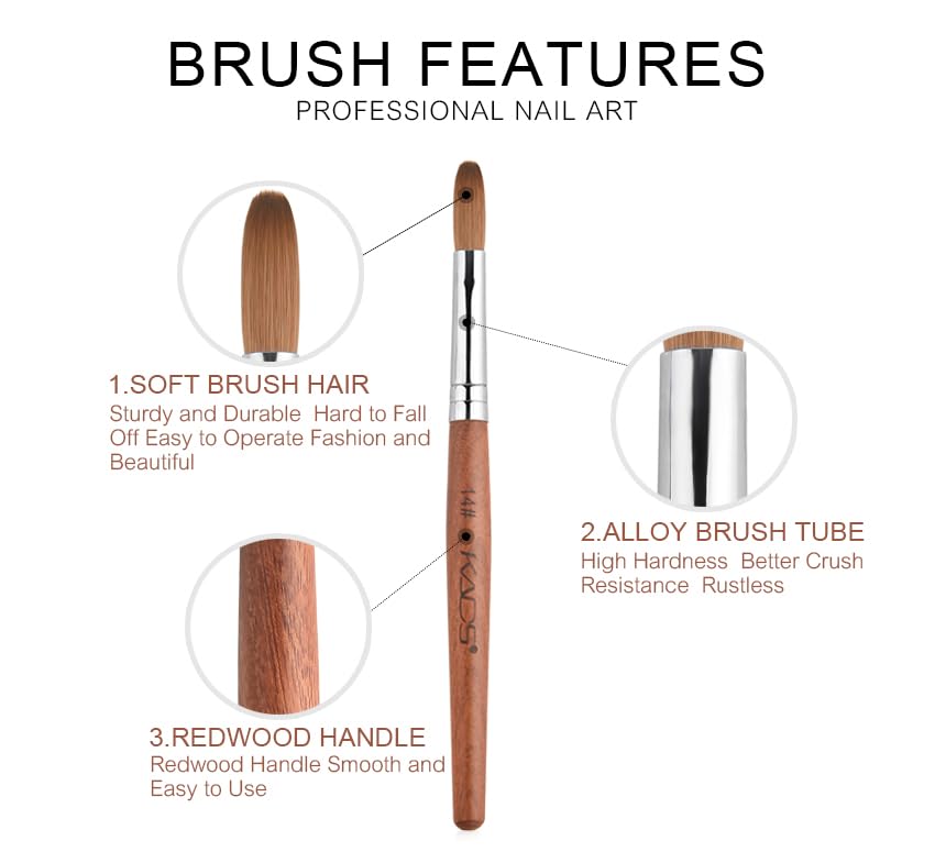 Rolabling bristle tip precision demonstrating fine-point accuracy