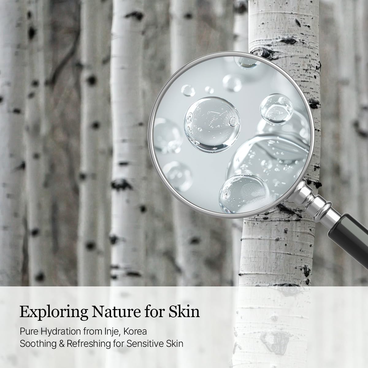 ROUND LAB birch sap ingredient close-up highlighting natural hydration source