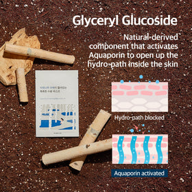 ROUND LAB bottle of birch sap ingredient emphasizing natural hydration boost