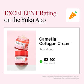 ROUND LAB Camellia cream staged on bathroom vanity reflecting daily skincare routine use