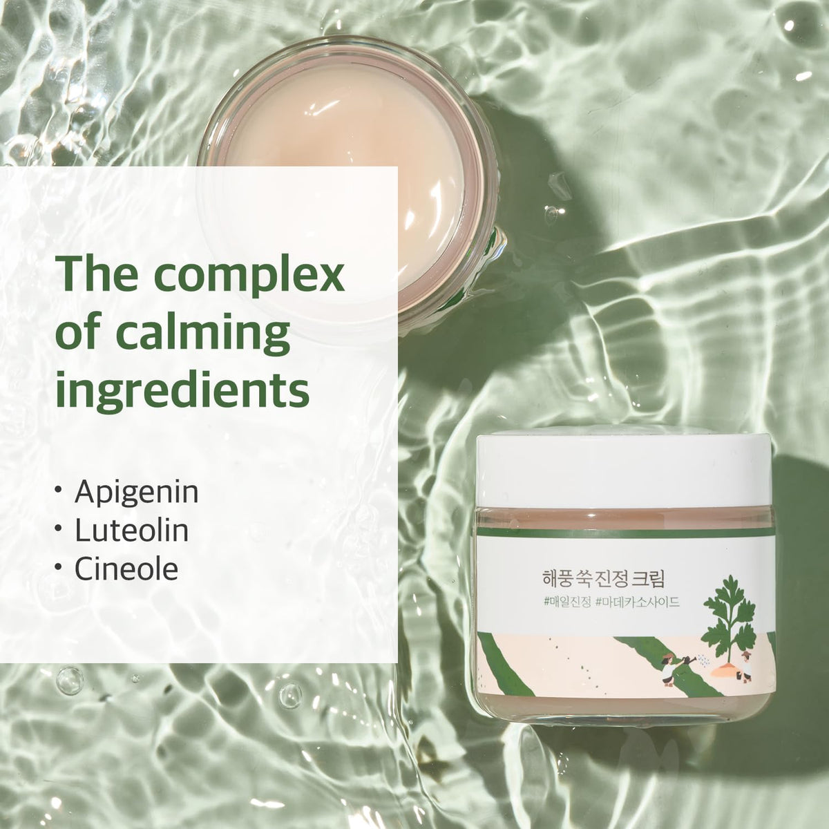 ROUND LAB mugwort leaves and cream to show botanical soothing ingredient