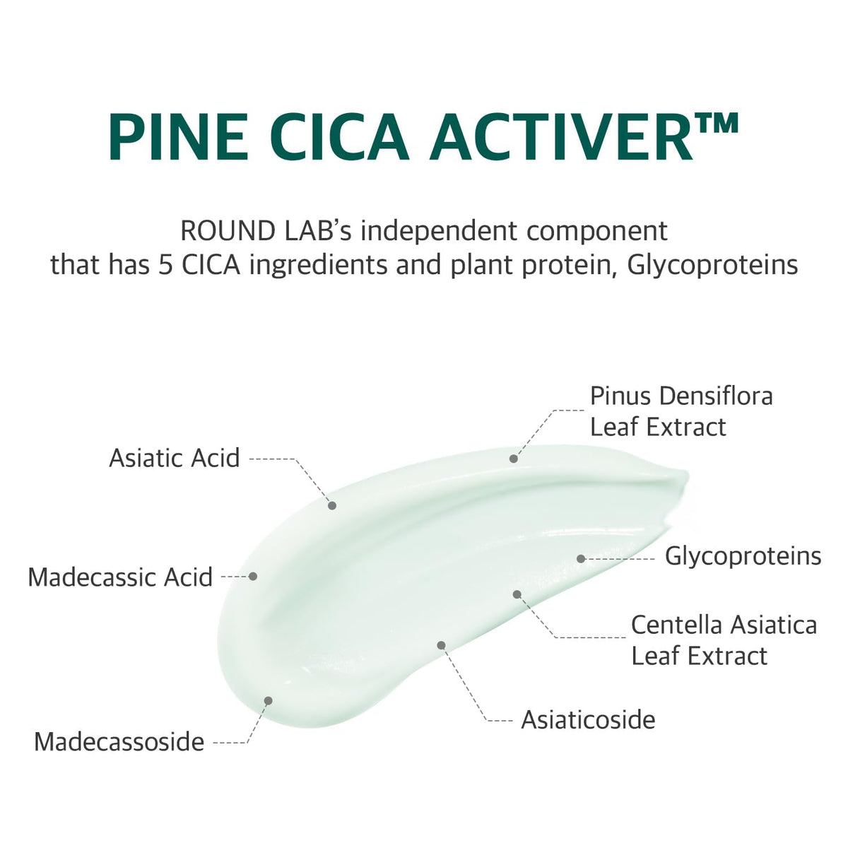 ROUND LAB Pine Cica ingredient display highlighting botanical calming benefits
