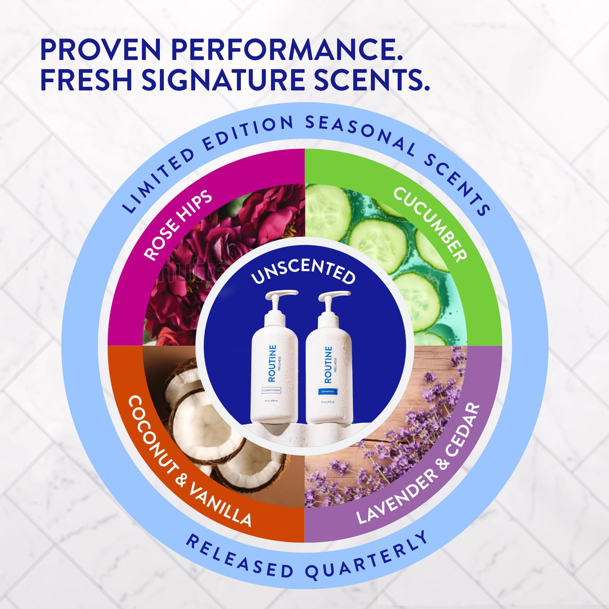 Routine Wellness applying shampoo to wet hair demonstrating easy lather