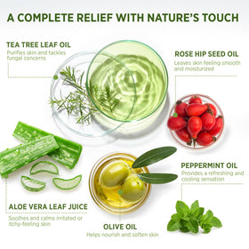 Roycederm ingredients arrangement with tea tree, eucalyptus and peppermint to show natural actives
