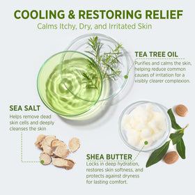 Roycederm tea tree and wormwood ingredients styled to show natural scent benefit