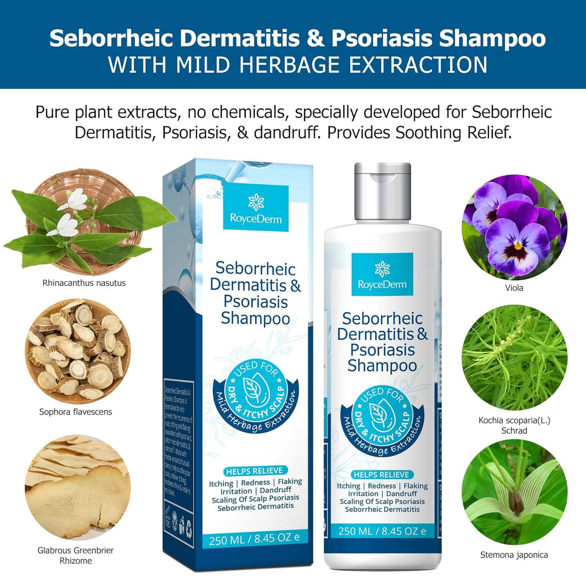Roycederm shampoo texture lather demonstrating gentle foam that lifts flakes