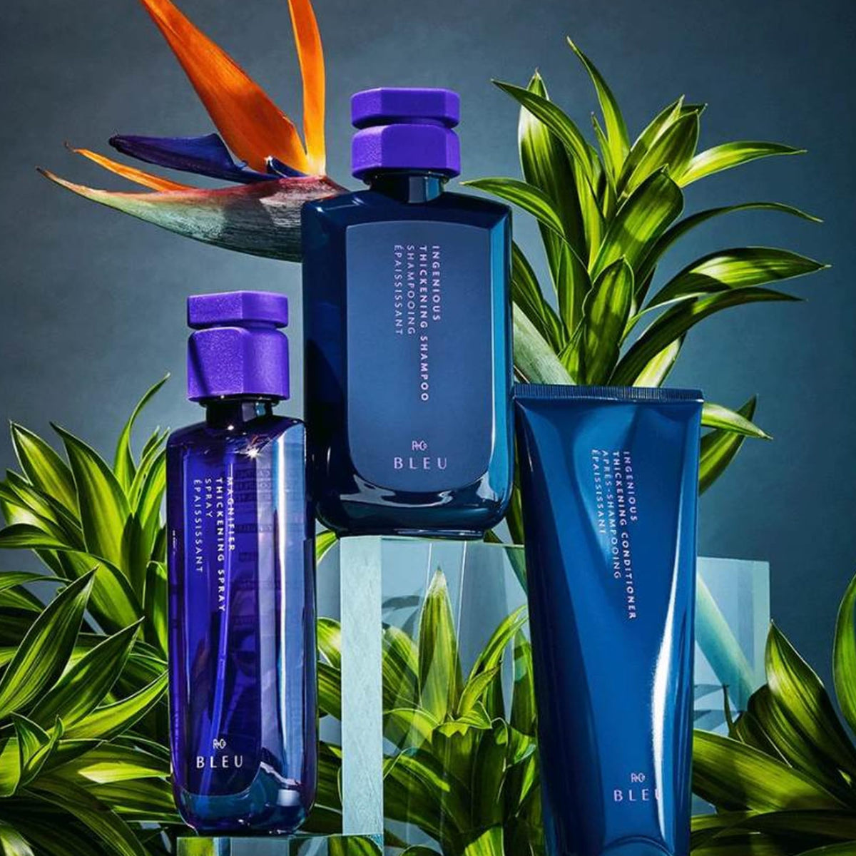 R+Co BLEU applied to fine hair demonstrating instant body and bounce