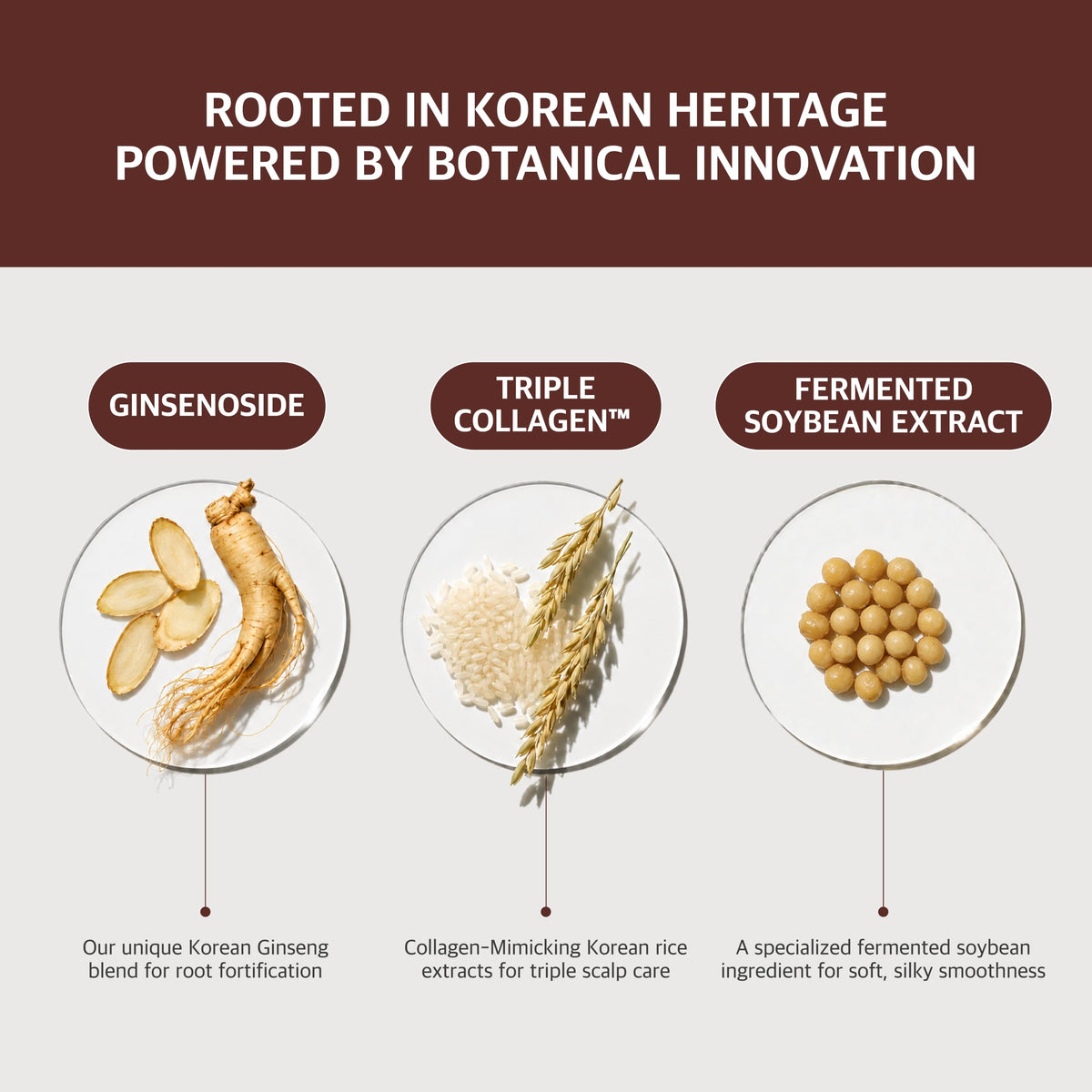 RYO bottle label close-up with ingredients list highlighting ginseng and caffeine