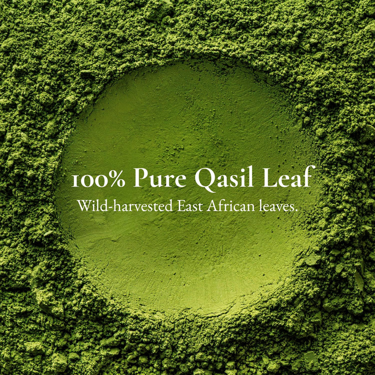 SAAFI AH ORGANICS open jar close-up texture of sidr leaf powder for gentle exfoliation