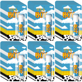Sacubee front packaging showing 30 blue "It's a Boy" lip balms and festive appeal