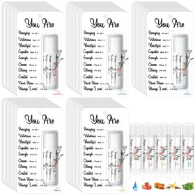 Sacubee front packaging showing 25-count bulk lip balm benefits