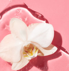 Saltair shampoo bottle close-up highlighting pump and clean design