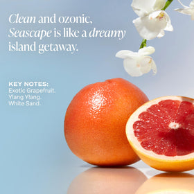 Saltair mineral salt ingredient closeup emphasizing sea salt minerals for skin-reviving nutrients
