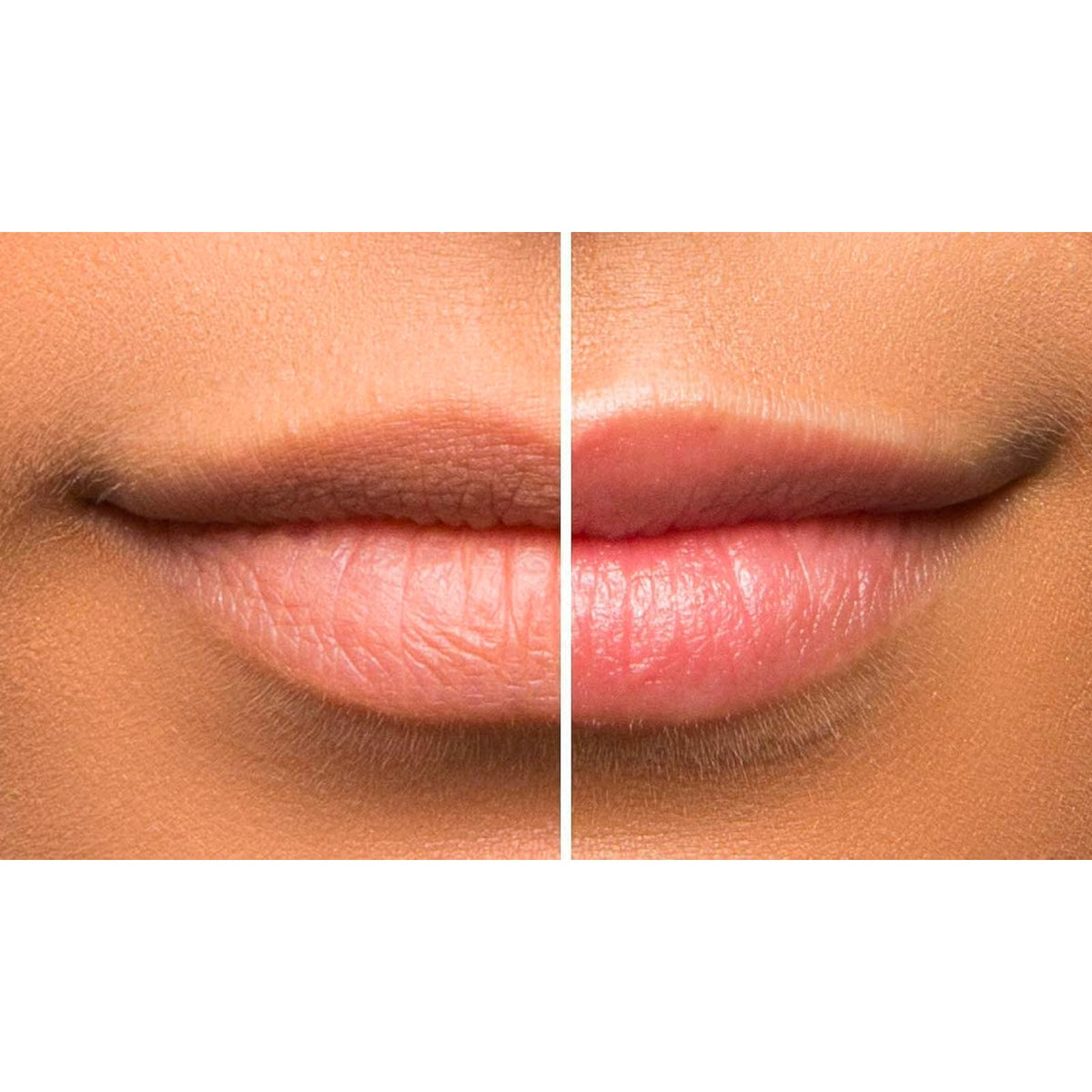Sara Happ vanilla bean texture close-up highlighting fine sugar crystals and creamy oil-rich blend