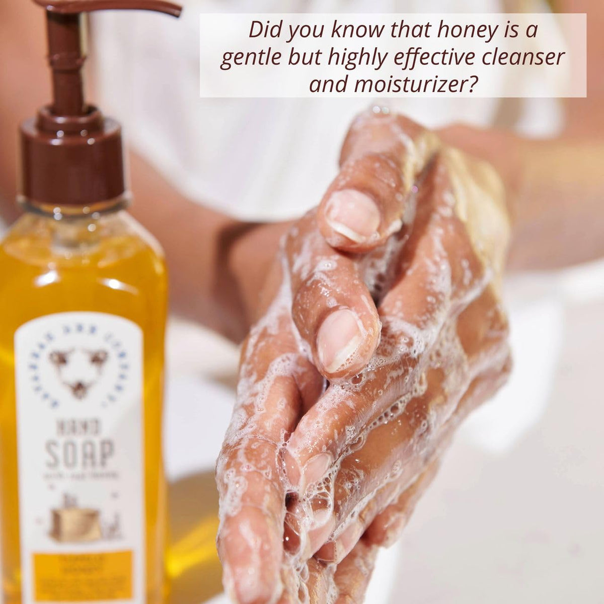 savannah bee company ingredient label showing natural extracts and quality