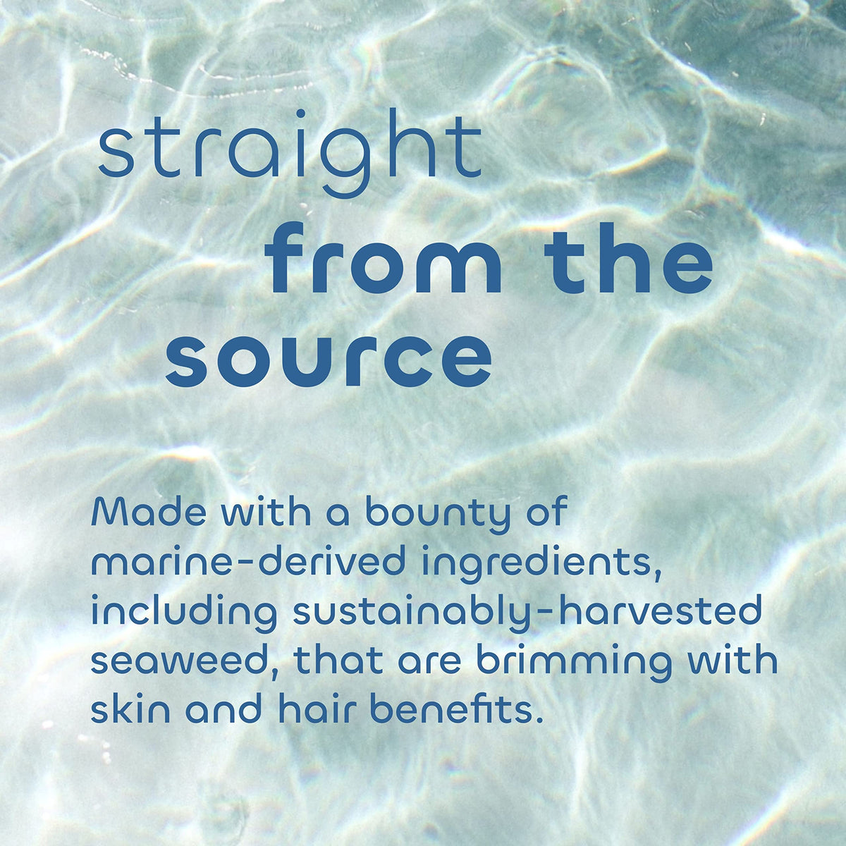 Seaweed Bath Co. sustainably harvested Atlantic seaweed ingredient detail with nutrient benefit
