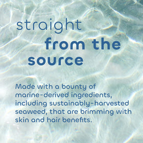 Seaweed Bath Co. sustainably harvested Atlantic seaweed ingredient detail with nutrient benefit