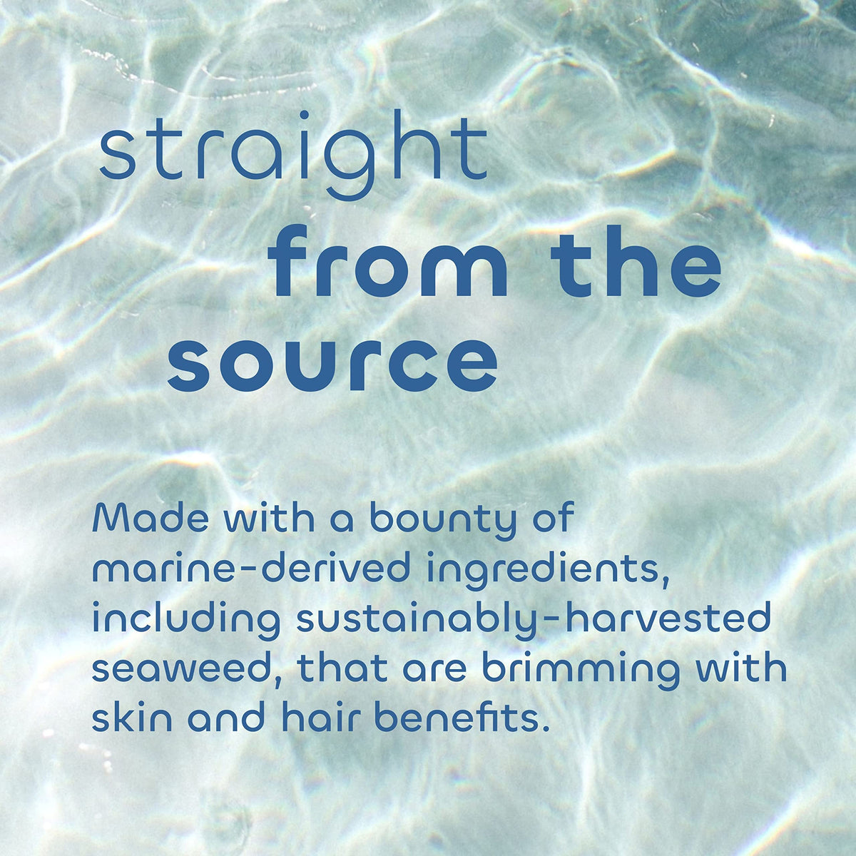 Seaweed Bath Co. lotion spread on skin showing quick absorption benefit