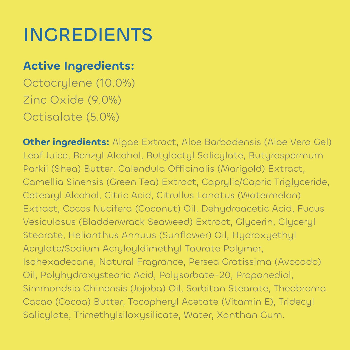 Seaweed Bath Co. seaweed and watermelon ingredients arranged to show natural hydration benefits