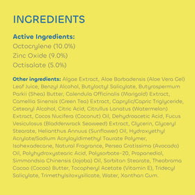 Seaweed Bath Co. seaweed and watermelon ingredients arranged to show natural hydration benefits