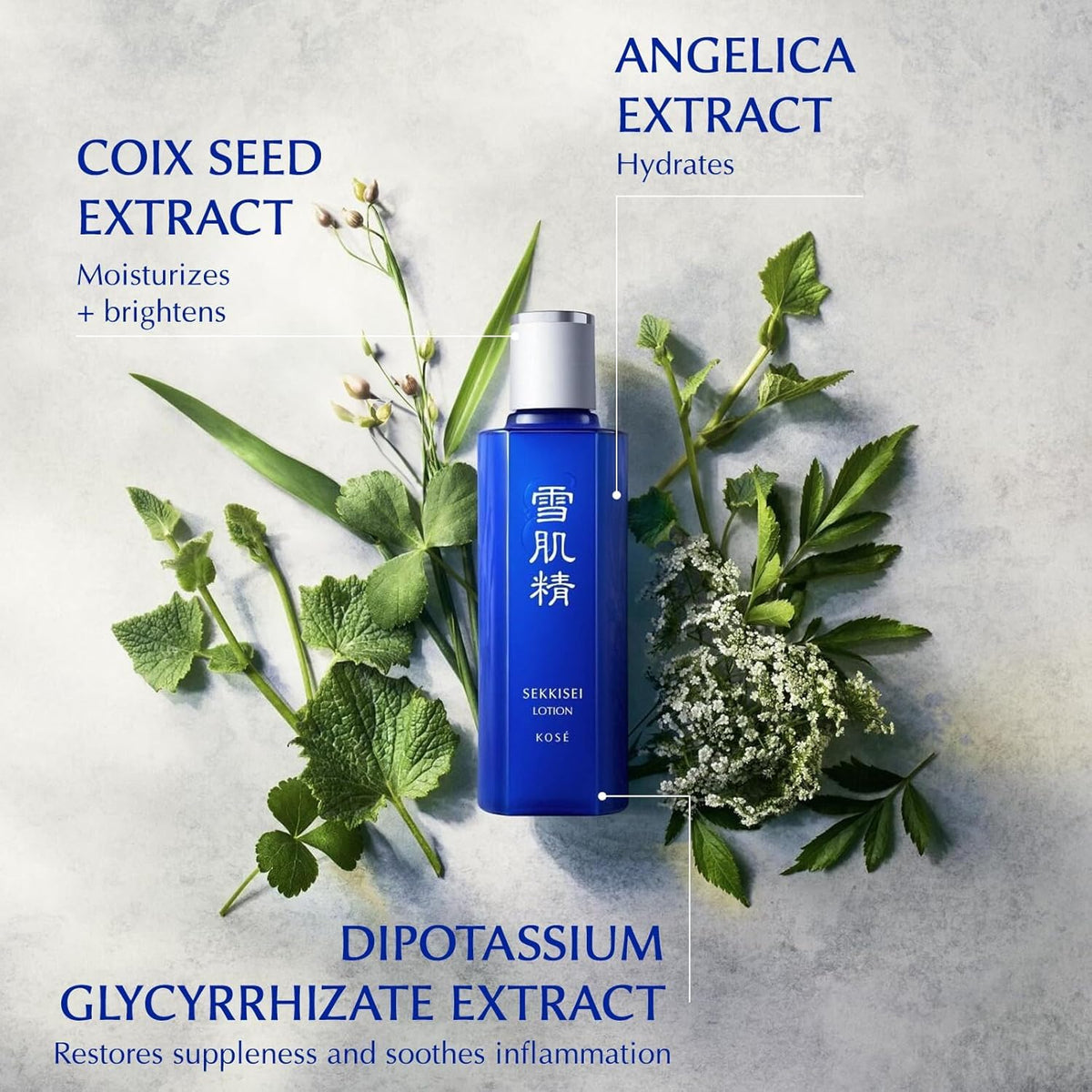 Assorted herbal ingredients used in SEKKISEI lotion showing botanical antioxidants