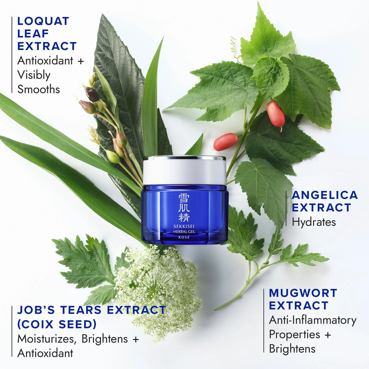 SEKKISEI gel texture close-up highlighting lightweight, fast-absorbing feel