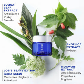 SEKKISEI gel texture close-up highlighting lightweight, fast-absorbing feel