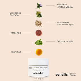 Sensilis ingredients flatlay with botanicals illustrating plant-derived actives