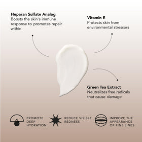 Sente Dermal Repair beside hand showing 1.7 fl oz scale for travel-friendly size