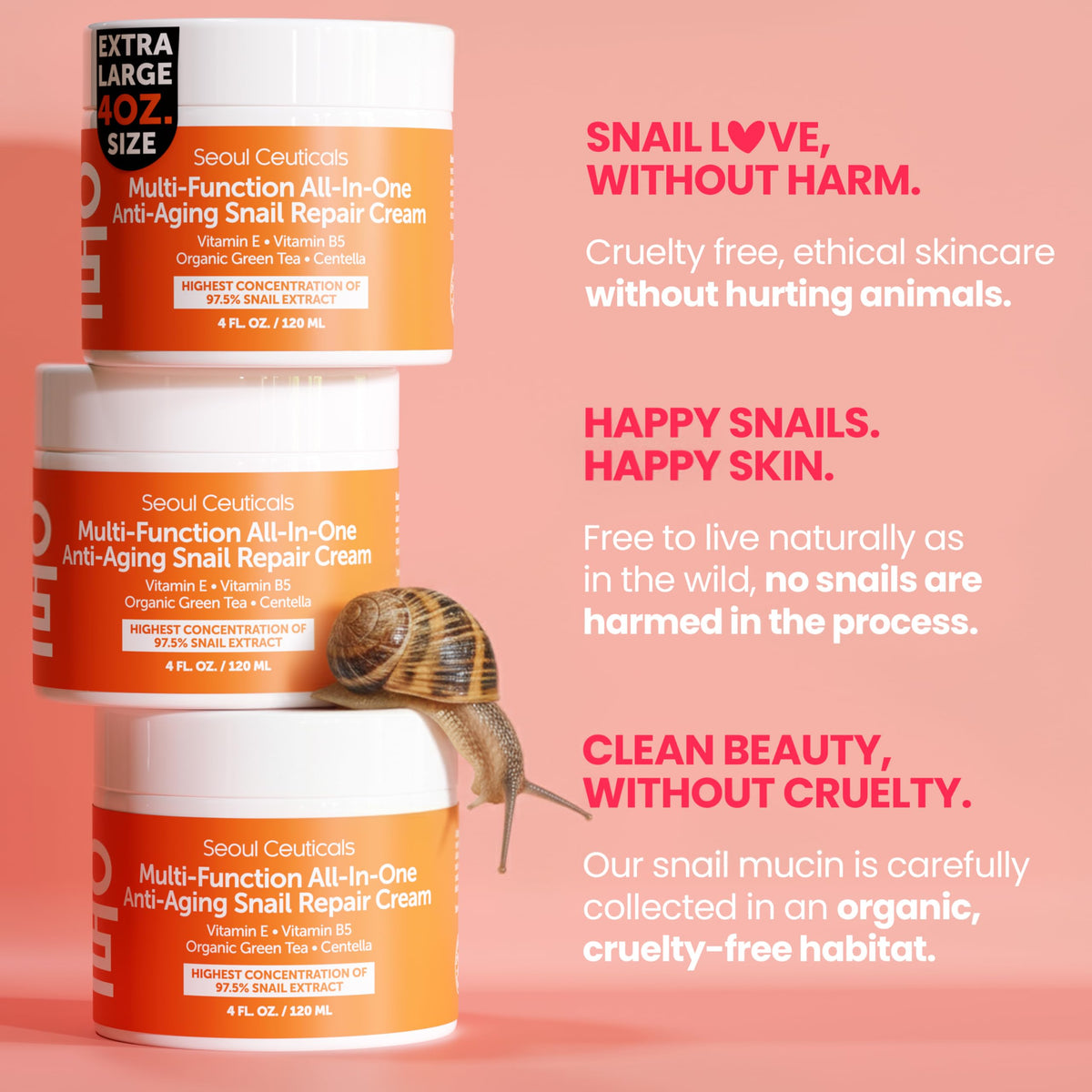 SeoulCeuticals ingredients flatlay with aloe and jojoba showing natural formula benefit