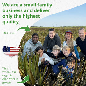 Seven Minerals fresh Texas aloe leaves used to make the cold-pressed gel