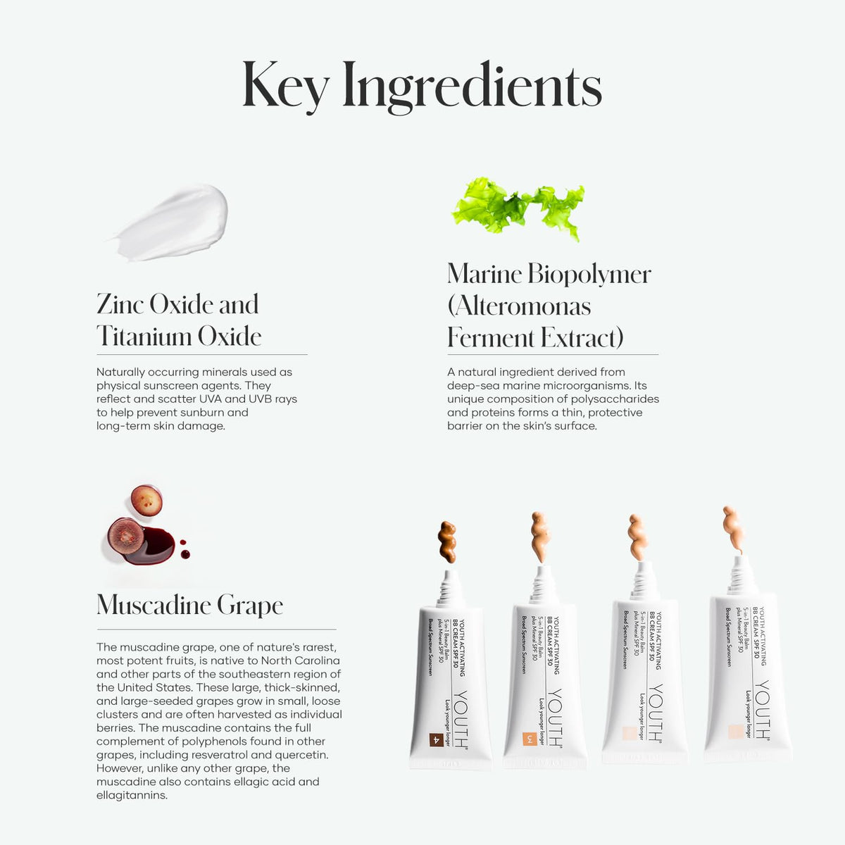 Shaklee YOUTH BB Cream texture close-up highlighting smooth blendability