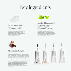 Shaklee YOUTH BB Cream texture close-up highlighting smooth blendability